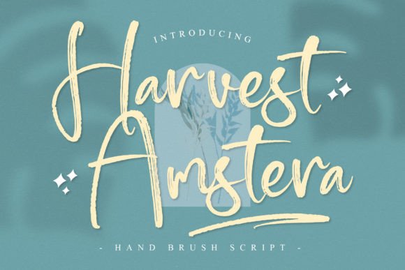 Harvest Amstera Script Font for Elegant Branding