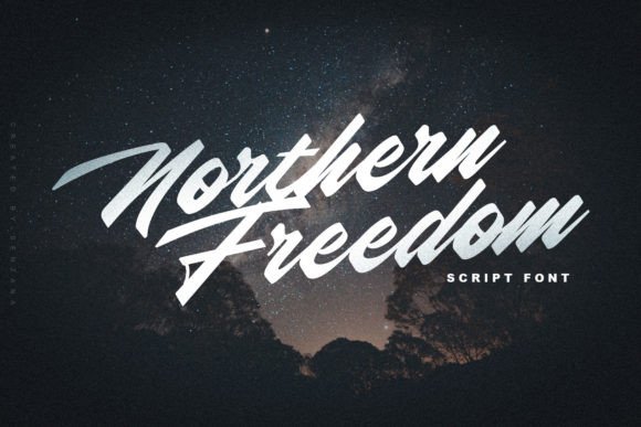 Northern Freedom: A Modern Script Font for Small Business Branding