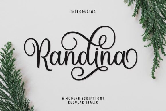 Randina: A Modern Script Font for Elegant Digital Branding