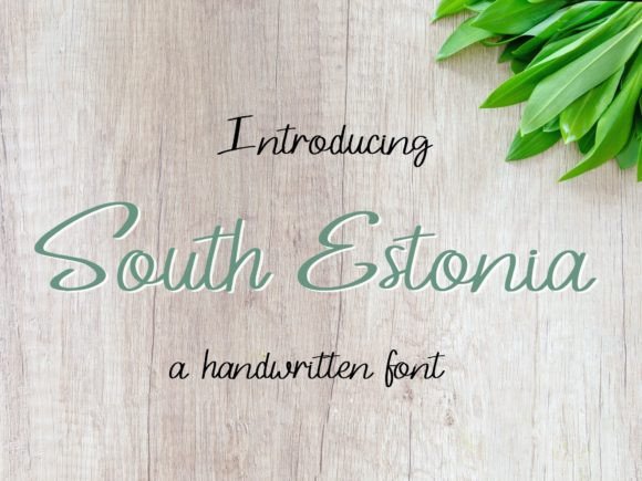 South Estonia Font for Timeless Brand Identity Design