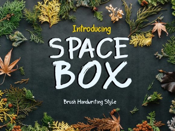 Space Box: A Script Handwritten Font for Thoughtful Editorial Design