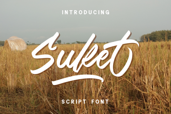 Suket: A Modern Script Font for Authentic Branding